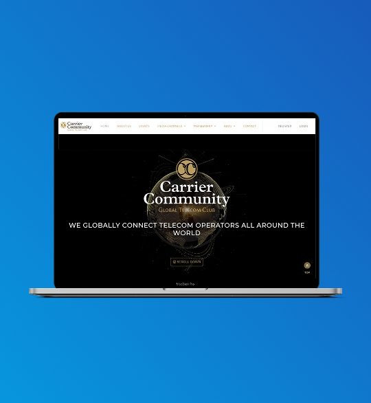 Carrier Community Portfolio Image