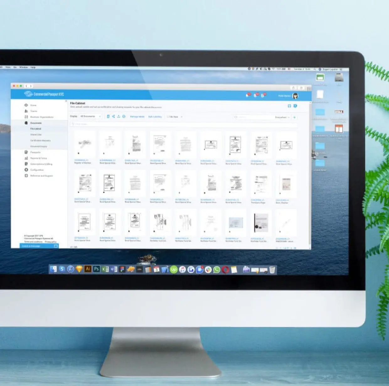 Commercial Passport Portfolio Image